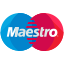 maestro payment icon